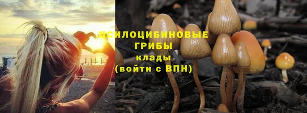 амф Володарск