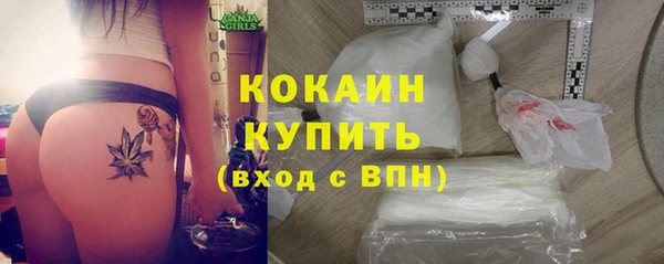 крисы Вязьма